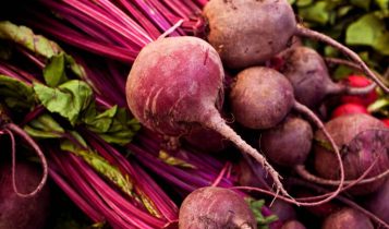 Abertura de mercado para sementes de beterraba do Brasil para a Nicarágua