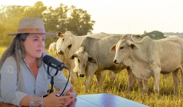 Como transformar 35 bois em uma boiada: a jornada da Dama do Agro