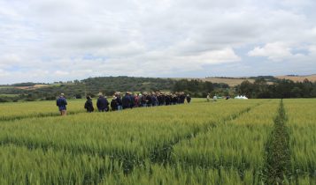 Grupo em visita ao campo experimental da Biotrigo em Passo Fundo (RS)