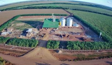 Três fazendas, 2.000 bovinos e R$ 147 milhões em dívidas, casal do agro entra em recuperação judicial