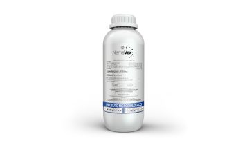 Combate aos nematoides ganha nova biotecnologia