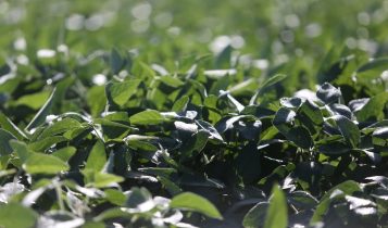 Crédito rural exige atenção redobrada na aplicação do recurso