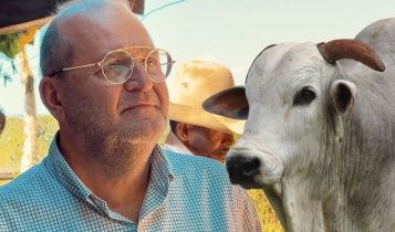 Paulo Leonel - ADIR NELORE - com touro nelore po - "Não preocupa quanto produz, mas quanto sobra": O segredo da lucratividade na pecuária