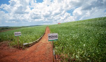 Empresa brasileira cria fertilizante nacional inovador para ajudar a diminuir a dependência por produtos importados