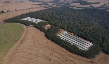 unidade de produção de ovos GTF
