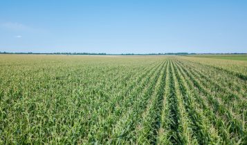 Área tratada por defensivos agrícolas deve encerrar ciclo 2025 com alta de 6,1%