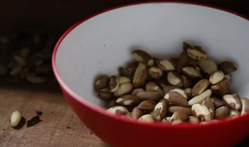 Agricultura familiar do Nordeste vai à maior feira mundial alimentos