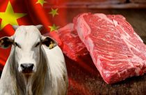 China demonstra interesse em retomar importações de alimentos da Irlanda