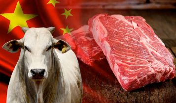 China demonstra interesse em retomar importações de alimentos da Irlanda