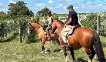 Conheça a fazenda de Galvão Bueno, um dos maiores nomes da vitivinivinhoscultura no Hemisfério Sul