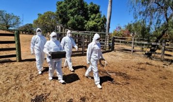 Febre aftosa: Montes Claros recebeu simulação de emergência sanitária