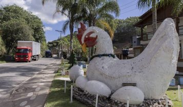 132 ovos por segundo: como Santa Maria de Jetibá se tornou a Capital Nacional do Ovo