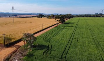 Metade das propriedades rurais de São Paulo já está em dia com a regularização ambiental