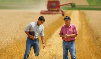 Salários de lideranças do agronegócio vão de R$ 30 mil a R$ 65 mil; veja quais cargos