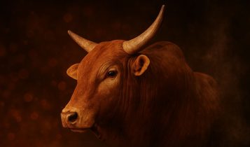 Mito ou verdade: A taurina dos energéticos realmente vem da urina ou do sêmen de touros?
