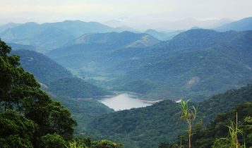 Debate sobre os impactos da mudança climática na Mata Atlântica reúne especialistas em São Paulo