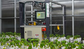 Robô usa luz para diagnóstico precoce de doença em algodão e soja