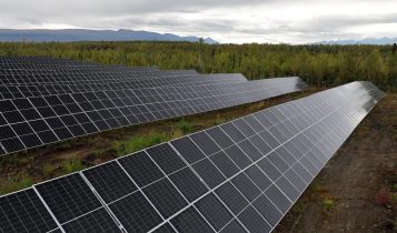 A maior fazenda solar do Alasca cultiva alimentos sob os painéis