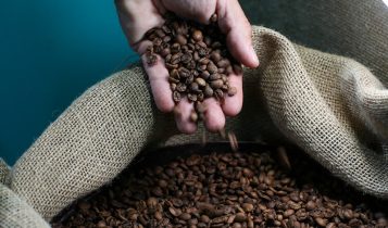 Safra recorde de café em 2026 reforça importância do manejo eficiente de plantas daninhas nas lavouras