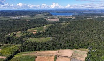 Produtores rurais preservam 29% da vegetação nativa no Brasil, aponta Embrapa