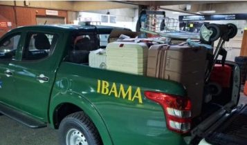 Fiscalização em Guarulhos barra envio de 48 kg de barbatanas de tubarão para Hong Kong