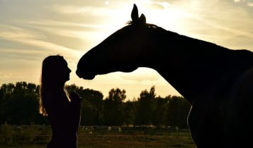 Como o campo eletromagnético equino pode influenciar emoções humanas