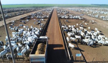 efeito poupa terra confinamento pecuária brasileira