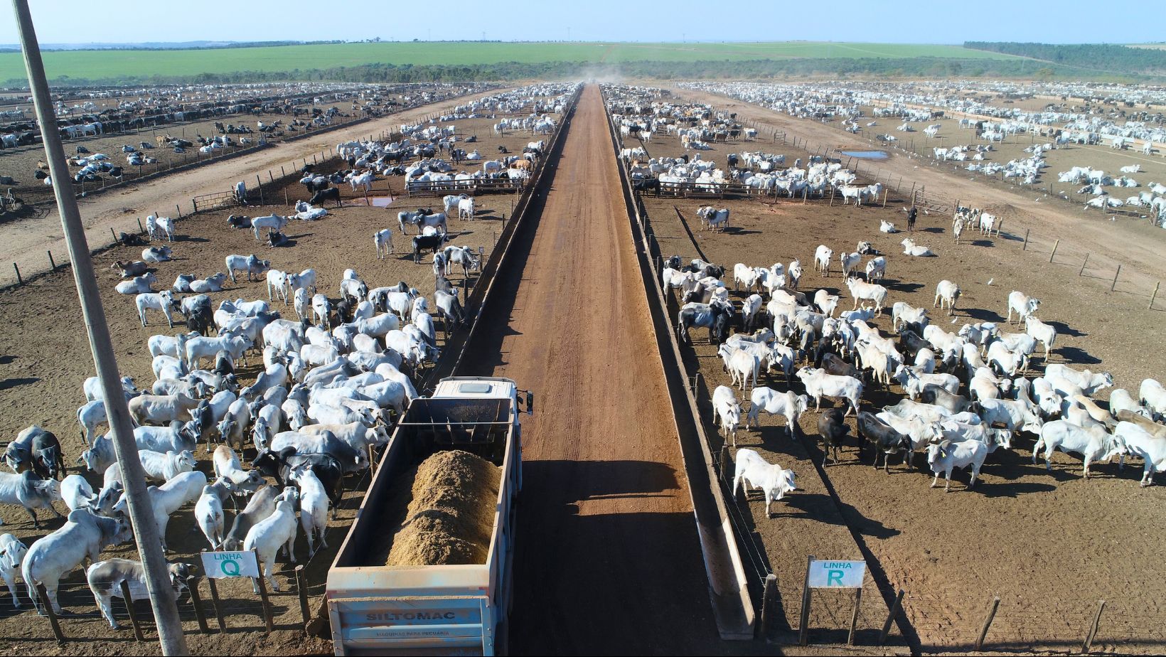 efeito poupa terra confinamento pecuária brasileira