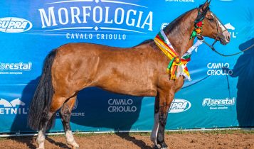 Fêmea de linhagem premiada leva título de Melhor Exemplar da Raça em Sant'Ana do Livramento