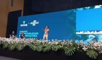 Café impulsiona desenvolvimento econômico em Minas Gerais