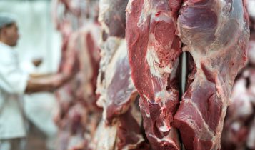 Mato Grosso amplia exportações de carne bovina para a Ásia em 39,4%