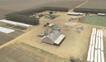 Fazenda do grande campeão nacional sequeiro - Mateus Passinatto, de Campos de Júlio (MT).