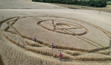 Agroglifo misterioso volta a aparecer em SC e intriga moradores