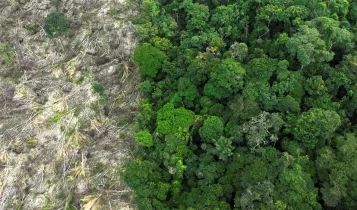 Municípios gastaram R$ 732 bilhões com desastres entre 2013 e 2024