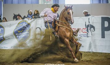 cavalo crioulo freio de europa