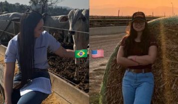 confinamento no brasil x eua