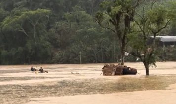 Moradores utilizam caiaques para salvar rebanho de gado durante cheia em SC: Vídeo