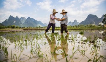 Shennong: Como um imperador da China antiga moldou a história do agro e salvou a humanidade