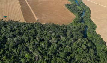 Maior parte da Lei Geral do Licenciamento Ambiental é derrubada pelo Congresso