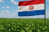 Safra de soja do Paraguai deve alcançar 10,5 milhões de toneladas após desafios climáticos