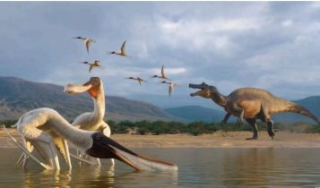 Pesquisadores encontram nova espécie de pterossauro em vômito fossilizado no Nordeste