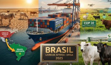 ⁠Retrospectiva 2025: Principais destaques da pecuária de corte