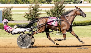 American Trotter: a máquina de velocidade que reinventou o trote americano