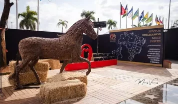 Conheça os melhores cavalos Mangalarga Marchador de 2025 eleitos na Nacional da raça