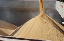 Federarroz alerta que novas regras do piso mínimo de frete agravam crise na orizicultura gaúcha