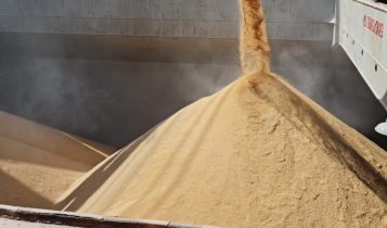 Federarroz alerta que novas regras do piso mínimo de frete agravam crise na orizicultura gaúcha