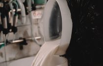 Gadolando cobra medidas mais amplas para garantir sobrevivência dos produtores de leite