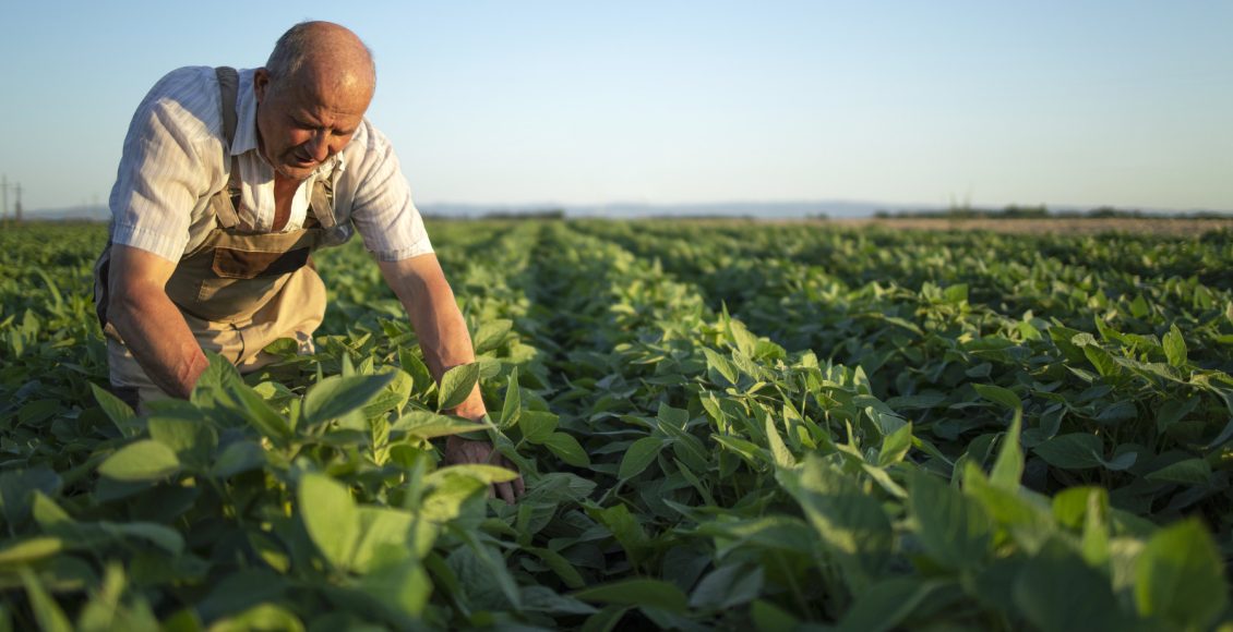 Estudo inédito revela vantagem ambiental dos insumos biológicos frente aos químicos