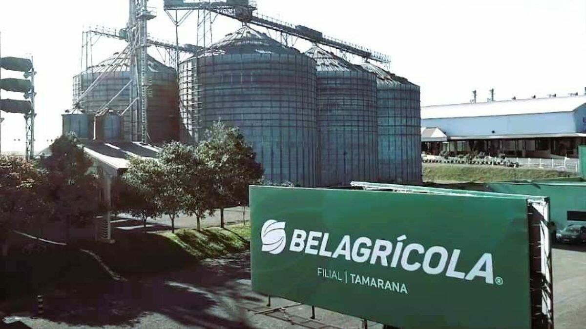 belagricola Belagrícola: Justiça do PR rejeita recuperação extrajudicial