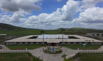 cafula agropecuaria-capa